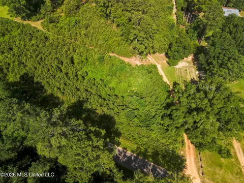 585 Carson-bunkerhill Rd, Carson, MS 39427 photo 12