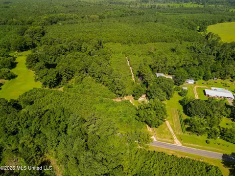 585 Carson-bunkerhill Rd, Carson, MS 39427 photo 11