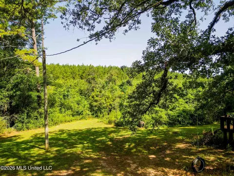 585 Carson-bunkerhill Rd, Carson, MS 39427 photo 20
