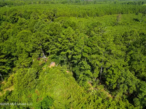 585 Carson-bunkerhill Rd, Carson, MS 39427 photo 9
