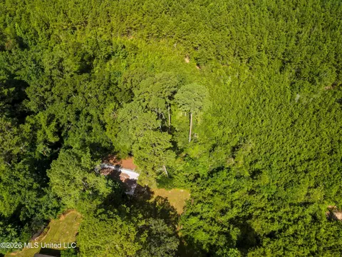 585 Carson-bunkerhill Rd, Carson, MS 39427 photo 15