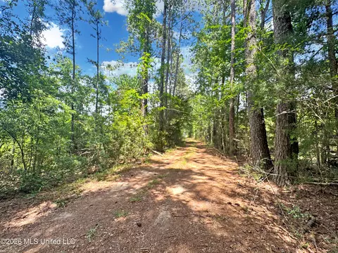 585 Carson-bunkerhill Rd, Carson, MS 39427 photo 22