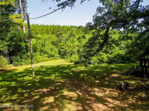 585 Carson-bunkerhill Rd, Carson, MS 39427 photo 21