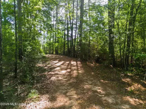585 Carson-bunkerhill Rd, Carson, MS 39427 photo 17
