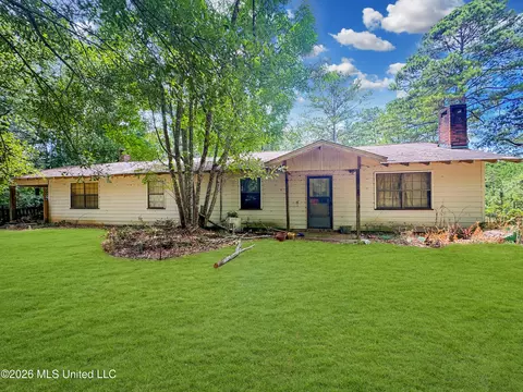 585 Carson-bunkerhill Rd, Carson, MS 39427 photo 1