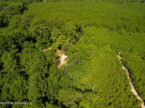 585 Carson-bunkerhill Rd, Carson, MS 39427 photo 13