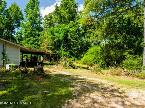 585 Carson-bunkerhill Rd, Carson, MS 39427 photo 14