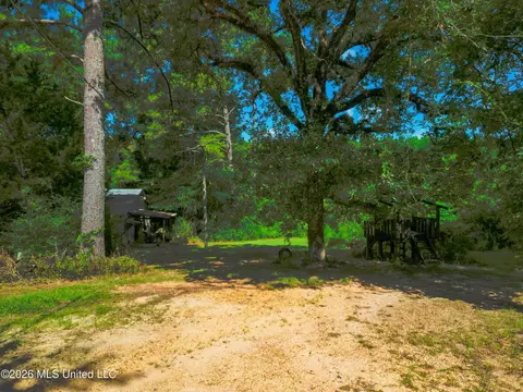 585 Carson-bunkerhill Rd, Carson, MS 39427 photo 6