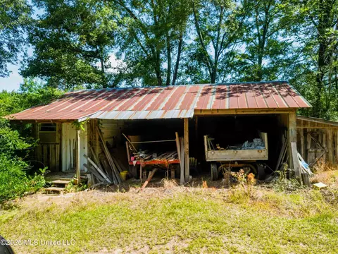 585 Carson-bunkerhill Rd, Carson, MS 39427 photo 19