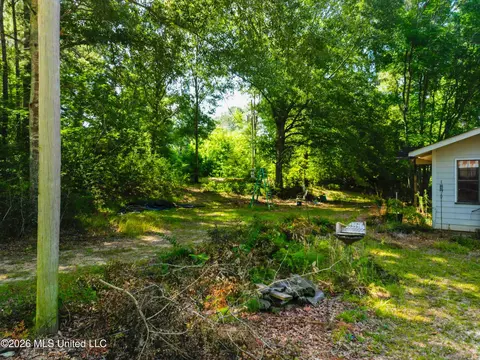 585 Carson-bunkerhill Rd, Carson, MS 39427 photo 7
