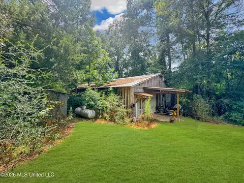 585 Carson-bunkerhill Rd, Carson, MS 39427 photo 26