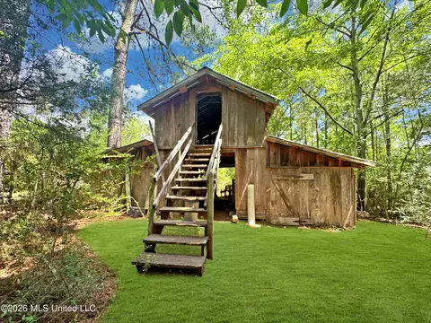585 Carson-bunkerhill Rd, Carson, MS 39427 photo 24