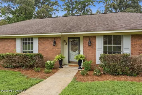53 Summit Pl, Brandon, MS 39042 photo 5