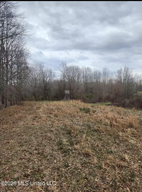 13 Floodway Rd, Lambert, MS 38643 photo 7
