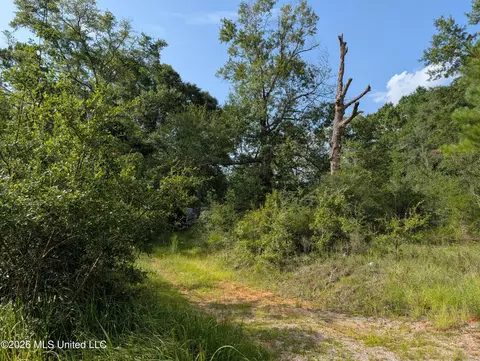 148 Pepper Ln, Lucedale, MS 39452 photo 2