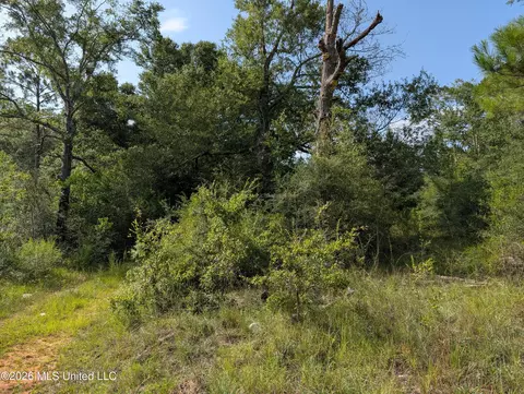 148 Pepper Ln, Lucedale, MS 39452 photo 6