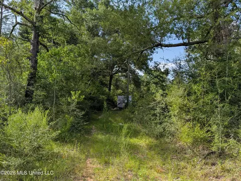 148 Pepper Ln, Lucedale, MS 39452 photo 3