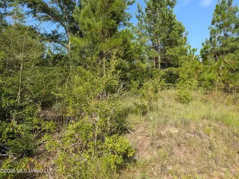 148 Pepper Ln, Lucedale, MS 39452 photo 5