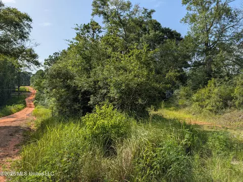 148 Pepper Ln, Lucedale, MS 39452 photo 7