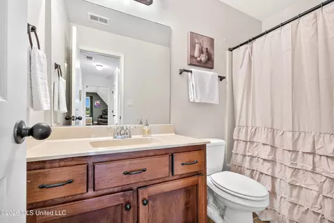 Bath - 823 W Fairway Pointe Cv, Hernando, MS 38632 photo 2 of 2