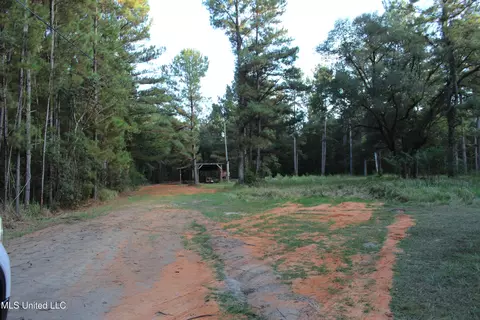 76 Acres Highway 612, Lucedale, MS 39452 photo 17