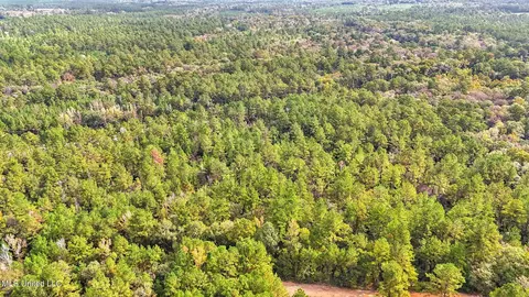 76 Acres Highway 612, Lucedale, MS 39452 photo 11