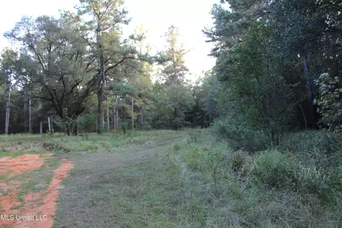 76 Acres Highway 612, Lucedale, MS 39452 photo 18