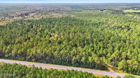 76 Acres Highway 612, Lucedale, MS 39452 photo 5