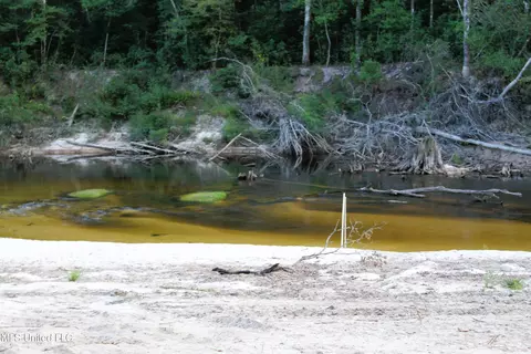 76 Acres Highway 612, Lucedale, MS 39452 photo 32