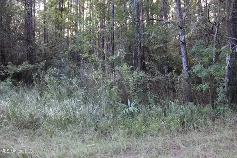76 Acres Highway 612, Lucedale, MS 39452 photo 20