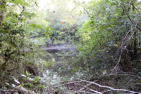 76 Acres Highway 612, Lucedale, MS 39452 photo 25