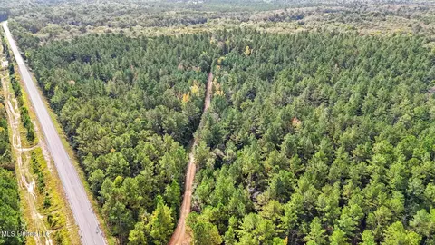 76 Acres Highway 612, Lucedale, MS 39452 photo 14