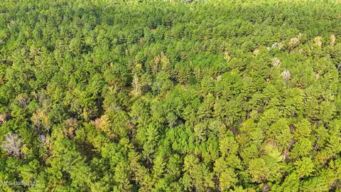76 Acres Highway 612, Lucedale, MS 39452 photo 8