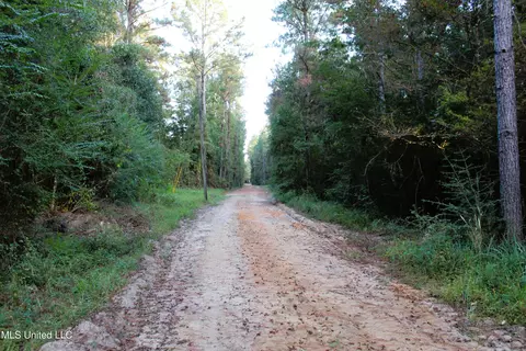 76 Acres Highway 612, Lucedale, MS 39452 photo 15