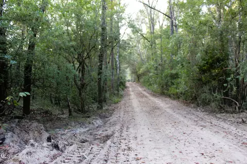 76 Acres Highway 612, Lucedale, MS 39452 photo 27