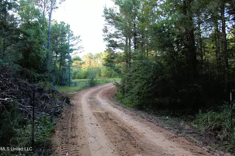 76 Acres Highway 612, Lucedale, MS 39452 photo 16
