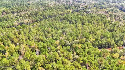 76 Acres Highway 612, Lucedale, MS 39452 photo 12