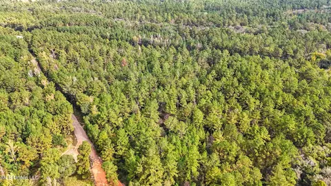76 Acres Highway 612, Lucedale, MS 39452 photo 10