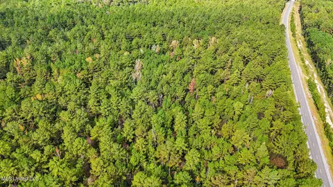 76 Acres Highway 612, Lucedale, MS 39452 photo 7