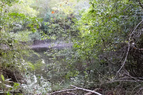 76 Acres Highway 612, Lucedale, MS 39452 photo 24