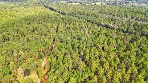 76 Acres Highway 612, Lucedale, MS 39452 photo 9