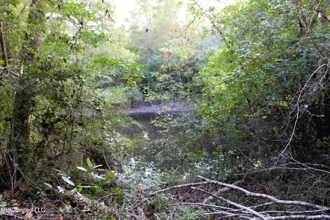 76 Acres Highway 612, Lucedale, MS 39452 photo 26