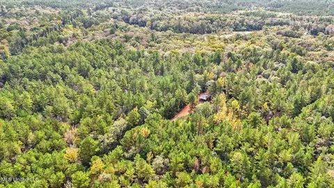 76 Acres Highway 612, Lucedale, MS 39452 photo 13