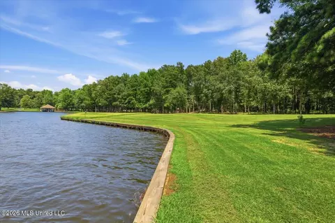 View/Area - 103 Lakeshore Cv, Madison, MS 39110 photo 4 of 4