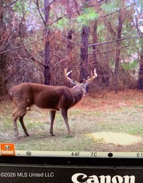 Other - 4757 Highway 27, Edwards, MS 39066 photo 25 of 29