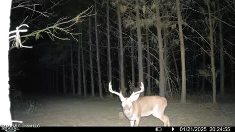 Other - 4757 Highway 27, Edwards, MS 39066 photo 28 of 29