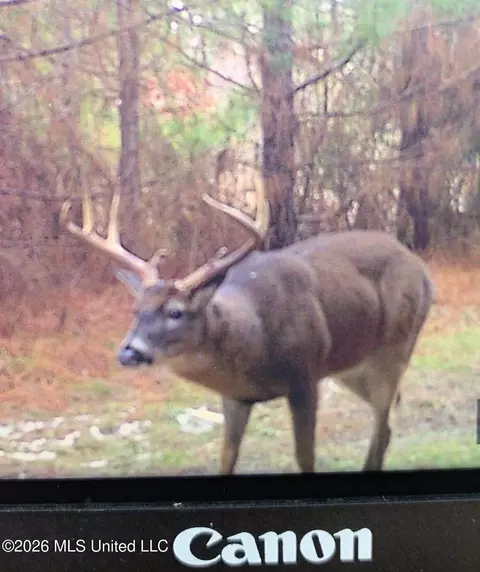 Other - 4757 Highway 27, Edwards, MS 39066 photo 26 of 29