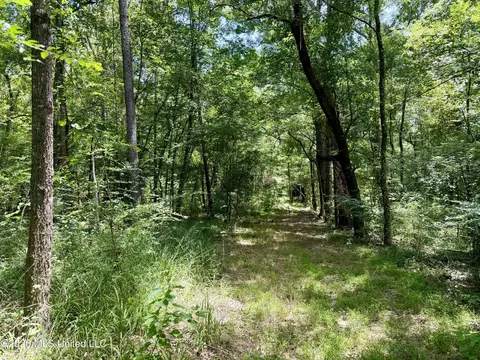 00 Yandell Rd, Canton, MS 39046 photo 8