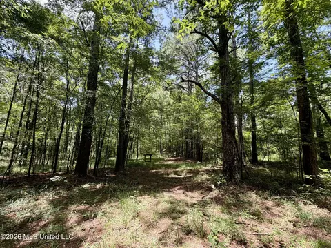 00 Yandell Rd, Canton, MS 39046 photo 6