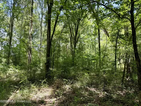 00 Yandell Rd, Canton, MS 39046 photo 9